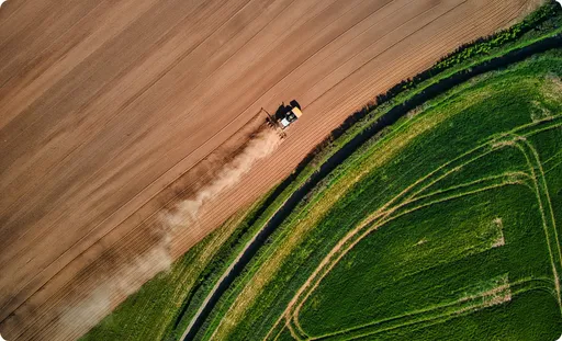 Picture of wood logs